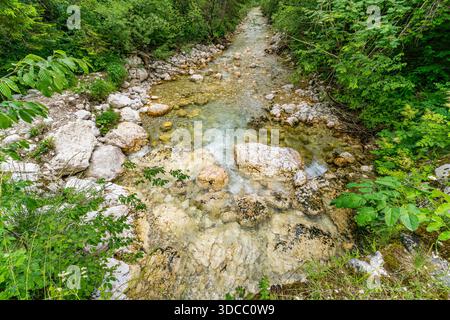 Ein ruhiger Gebirgsbach kaskadiert anmutig über glatte Felsen und beschwört Ruhe und natürliche Schönheit im üppigen Triglav-Nationalpark Sloweniens Stockfoto