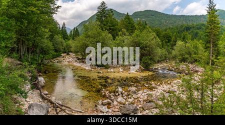 Ein ruhiger Bach schlängelt sich durch das lebendige Grün im unberührten Bohinj-Tal Sloweniens und beschwört Ruhe und unberührte natürliche Schönheit bei sanftem Tageslicht Stockfoto
