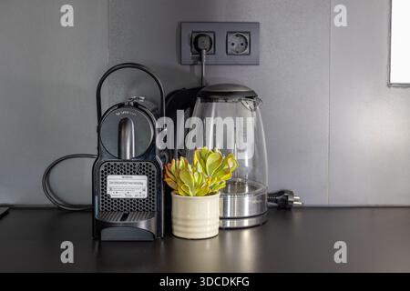 Nahaufnahme von schwarzer Kaffeemaschine, Glaskessel und kleiner Sukkulent auf dunkler Arbeitsplatte Stockfoto