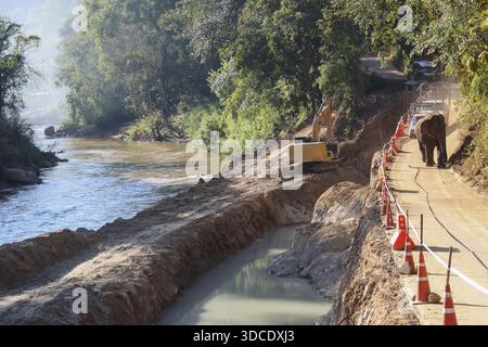 Elefanten gehen auf unbefestigtem Weg neben dem Fluss mit gelbem Bagger und Sicherheitskegeln auf einer ruhigen ländlichen Waldbaustelle, die ein friedliches Zusammenleben zeigt Stockfoto