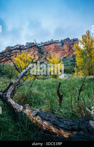 Rote Sandsteinklippen und Herbstbäume mit gefallenem Stamm in Teruel Spanien Stockfoto