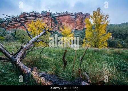 Gefallener Baumstamm mit den roten Sandsteinklippen von Penas Royas und Herbstbäumen, Teruel, Aragon, Spanien Stockfoto