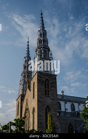 Die Zwillingstürme und die Steinfassade der Kathedrale Notre-Dame erheben sich vor einem blauen Himmel, mit Bäumen, die teilweise die historische Kirche in Ottawa umrahmen. Stockfoto