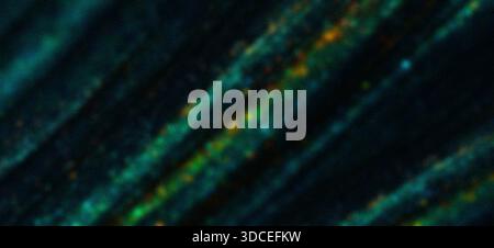 Abstrakter dunkelgrüner Farbverlauf Hintergrund mit fließenden Wellen, körniger Rauschstruktur, stimmungsvoller moderner Design-Hintergrund Stockfoto