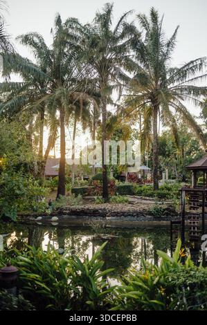 Sonnendurchflutete Palmen und tropischer Garten in einem Resort auf Koh Chang Stockfoto