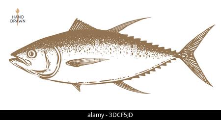 Thunfisch, Meeresfrüchte, Skizze Stock Vektor