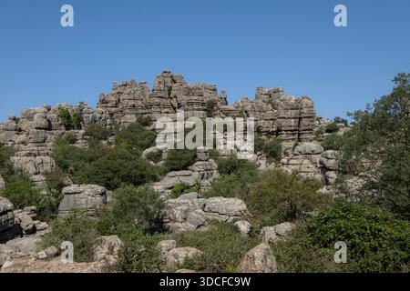 Zerklüftete Kalksteinlandschaft mit einer Vielzahl von Karstformationen und wilder mediterraner Flora, die zwischen ihren Rissen wächst. Torcal de Antequera Natural Stockfoto