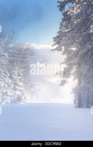 Bansko, Bulgarien, Winterskigebiet Panorama mit Kiefern, Skipiste und Schneekanonen Stockfoto