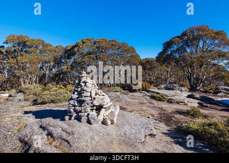Der Gipfel des MT St Gwinear an einem warmen, klaren Wintertag in Baw Baw Shire, Victoria, Australien Stockfoto