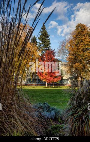 Schönheit in natre. Herbst Stockfoto