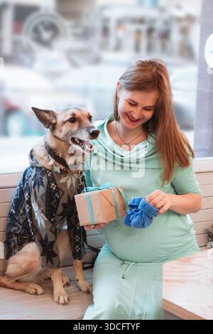 Schwangere Frau in blauem Kleid sitzt im Café mit ihrem Hund im Pullover und hält eine Geschenkbox und einen blauen Strickstiefel. || Modell freigegeben Stockfoto