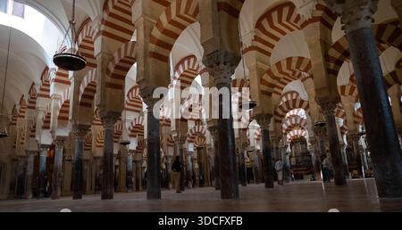 Blick von innen auf die historische Mezquita-Catedral de Córdoba mit verzierten rot-weiß gestreiften Bögen und Säulen Stockfoto