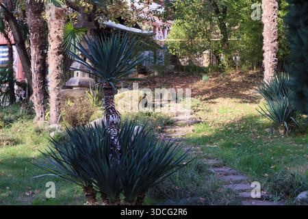 Geräumige Wohnallee gesäumt von hohen Palmen und modernen, asiatisch inspirierten, mehrstöckigen Apartmenthäusern unter klarem Himmel. Stockfoto