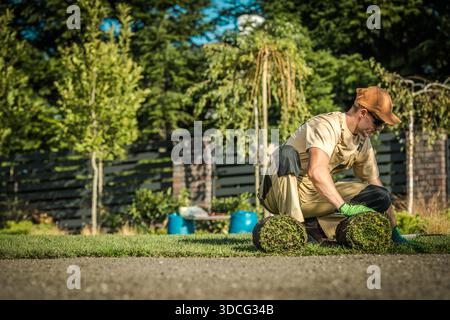 Ein Mann pflanzt in einem Garten Gras auf den Boden, während er Handschuhe und eine Kappe trägt. Er konzentriert sich auf die Aufgabe. Stockfoto