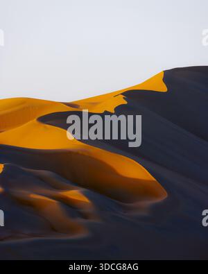 Der Blick auf goldene Dünen und tiefe Schatten schafft einen faszinierenden Kontrast von Licht und Form in der riesigen Wüstenlandschaft Bateen Liwa, Abu Dhabi, United Ara Stockfoto