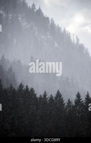 Der Blick auf einen dichten, dunkelgrünen Wald steigt auf den nebeligen, grauen Berg und verblasst in der Ferne in den bewölkten Himmel, Bayern, Deutschland. Stockfoto