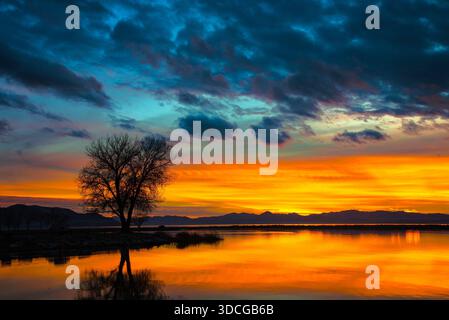 Sonnenuntergangsbilder auf dem Utah Lake. Dieser Bereich bietet wunderschöne Sonnenuntergänge und Reflexionen im Wasser. Stockfoto