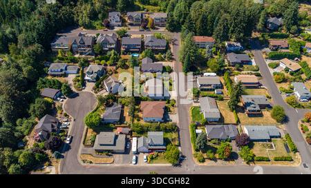 Aus der Vogelperspektive ziehen sich Dächer und üppige grüne Bäume über die Vorstadtlandschaft, eine ruhige Szene der Häuslichkeit unter der hellen Sommersonne Portla Stockfoto