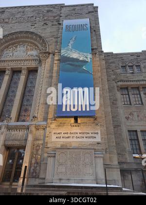 ROM-Banner im Royal Ontario Museum im Queens Park in der Innenstadt von Toronto, Ontario, Kanada Stockfoto