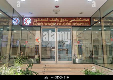 DOHA, KATAR - 19. SEPTEMBER 2023: Souq Waqif Falcon Hospital in Doha, Katar Stockfoto