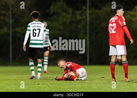Seixal, Lissabon, Portugal. Dezember 2025. Diogo Prioste verletzt sich beim Liga Portugal Meu Super Match zwischen SL Benfica B und Sporting CP B am 22. Dezember 2025 auf dem Benfica Campus in Lissabon. (Kreditbild: © Davide Puglisi/ZUMA Press Wire) NUR REDAKTIONELLE VERWENDUNG! Nicht für kommerzielle ZWECKE! Stockfoto