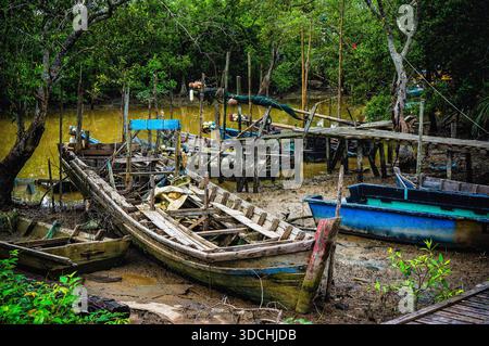 Mehrere alte, kaputte Holzfischboote ruhen auf einem schlammigen Ufer in der Nähe eines tropischen Mangrovenwaldes und Stegs. Stockfoto