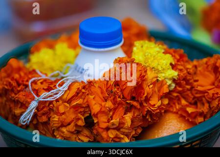 Pooja-Geschäft in der Shiva-Tempellinie in Bur Dubai, Dubai, Vereinigte Arabische Emirate Stockfoto