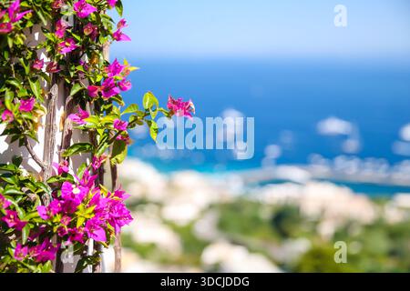 Gäste bestellen Eis und Getränke in einem kleinen Café auf der Insel Capri, einem beliebten Reiseziel in der Bucht von Neapel. Stockfoto