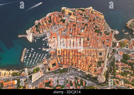 Blick aus der Vogelperspektive auf die Terrakotta-Dächer, die zu alten Steinmauern herabfallen, wo türkisfarbenes Wasser auf den Hafen trifft, Dubrovnik, Kroatien. Stockfoto