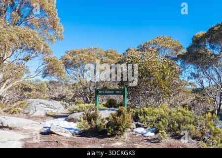 Der Gipfel des MT St Gwinear an einem warmen, klaren Wintertag in Baw Baw Shire, Victoria, Australien Stockfoto