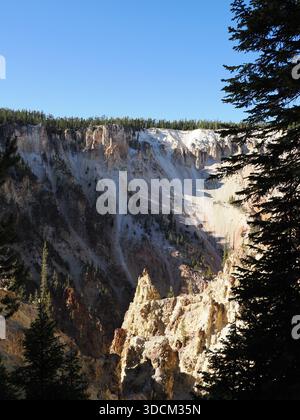 Detaillierte Aussicht auf die zerklüfteten, gebleichten gelben Klippen und Felsenspitzen, die die steilen Wände des Grand Canyon des Yellowstone säumen. Stockfoto