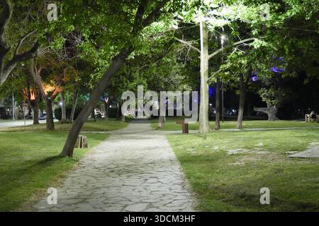 Reisen Sie griechenland alexandropoulis Frühlingsstein gepflasterten Pfad, der sich durch einen Stadtpark mit grünen Bäumen schlängelt, die nachts von bunten Lichtern beleuchtet werden Stockfoto