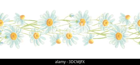 Nahtloser Blumenrand mit Gänseblümchen in Aquarellfarben Stockfoto