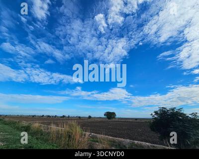 Weite Sicht auf ein vorbereitetes landwirtschaftliches Feld unter einem massiven hellblauen Himmel mit strahlend weißen Wolken. Ländliche Landschaft mit einem einsamen Baum am Horizont. Stockfoto