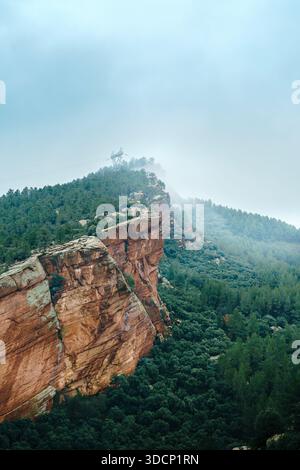 Rote Sandsteinklippen und Kiefernwald in Penarroyas, Teruel, Spanien Stockfoto