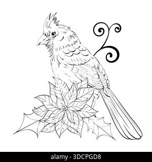 Kardinalvogel, der in der Nähe der Stechpalmenpflanze sitzt, umgeben von dekorativen Wirbeln im detaillierten Black Line Art Style, perfekt zum Ausmalen von Seiten und künstlerischen Arbeiten Stock Vektor