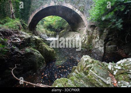Alte Brücke Tollymore Stockfoto
