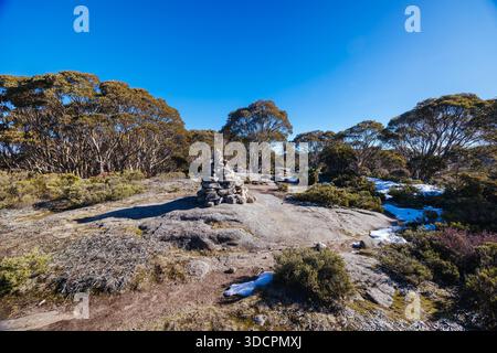 Der Gipfel des MT St Gwinear an einem warmen, klaren Wintertag in Baw Baw Shire, Victoria, Australien Stockfoto