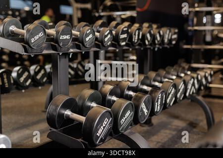 Nahaufnahme des Metall-Hantelständers in einem modernen Fitnessraum, kostenlose Kraftgeräte für Krafttraining und Fitness-Routine Stockfoto