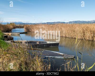 Traditionelle Fischerboote ruhen auf ruhigem Wasser entlang eines von Schilf umgebenen Kanals im Naturpark von albufera, valencia, spanien Stockfoto