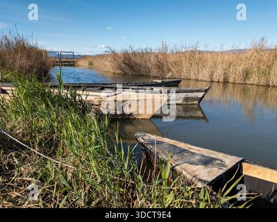 Traditionelle Holzboote ruhen in einem ruhigen Kanal, umgeben von hohem Schilf unter einem klaren blauen Himmel, was Ruhe und ländliche Lebensweise weckt Stockfoto