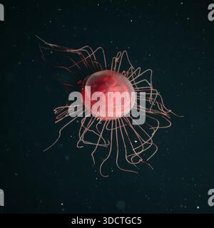 Tiefseekronenqualle (Atolla spp.), die bei der Ocean Survey 2026 in 3.920 Metern Entfernung erfasst wurde Stockfoto