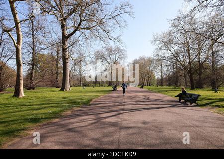 Das nachmittags Sonnenlicht wirft Schatten von Bäumen im Hyde Park, London, während die Menschen an einem hellen sonnigen Tag spazieren und sitzen. Stockfoto
