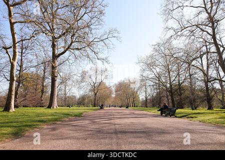 Das nachmittags Sonnenlicht wirft Schatten von Bäumen im Hyde Park, London, während die Menschen an einem hellen sonnigen Tag spazieren und sitzen. Stockfoto