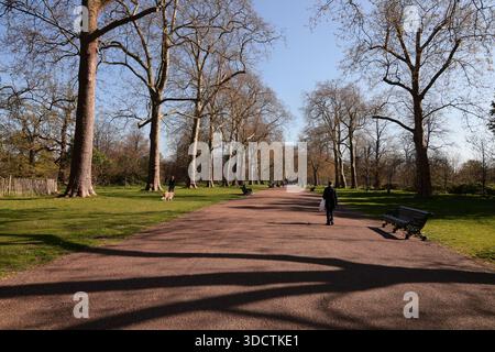 Das nachmittags Sonnenlicht wirft Schatten von Bäumen im Hyde Park, London, während die Menschen an einem hellen sonnigen Tag spazieren und sitzen. Stockfoto