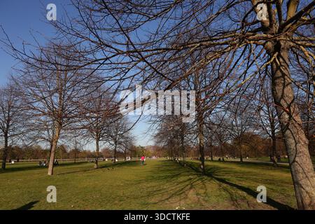 Das nachmittags Sonnenlicht wirft Schatten von Bäumen im Hyde Park, London, während die Menschen an einem hellen sonnigen Tag spazieren und sitzen. Stockfoto