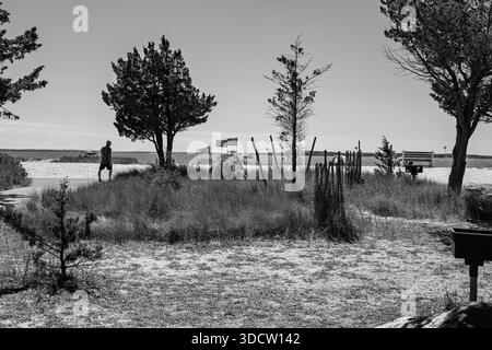 Eine einsame Person spaziert in der Nähe von Sanddünen und Zäunen entlang der Küste von Long Island und dokumentiert das ruhige Leben an der Küste und den offenen öffentlichen Raum. Stockfoto