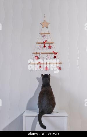 Die elegante schwarze Katze sitzt auf einem weißen Schrank und blickt auf einen modernen, handgefertigten Weihnachtsbaum aus Holzstäben und Schnur, dekoriert mit Rot und Stockfoto