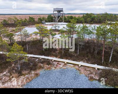 Aus der Vogelperspektive auf eine hölzerne Promenade und einen Wachturm, der sich durch eine nebelige, gefrorene Moorlandschaft in der ländlichen estnischen Wildnis schlängelt. Stockfoto