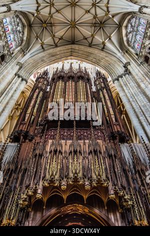 Niedriger Winkel des verzierten hölzernen Orgelkastens und der gotischen Chorwand im York Minster in York, North Yorkshire, England. Stockfoto